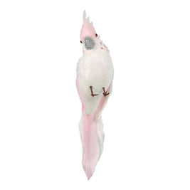 Candyfloss Parrot - Pink